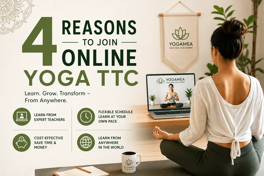 4 Reasons to Join Online Yoga TTC