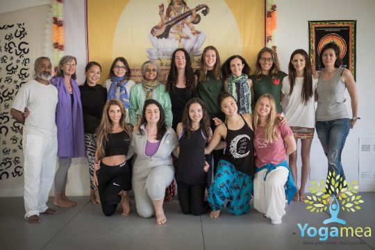 200 Hour Yoga Teacher Training in Rishikesh, India